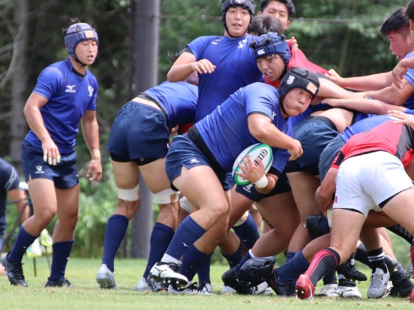 明治大学ラグビー部　公式ソックス