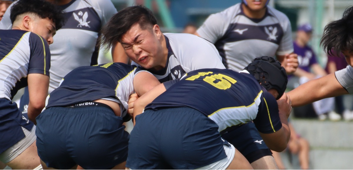 野村 俊介