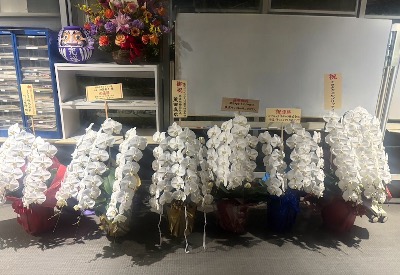 【差し入れを頂きました】