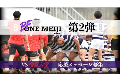 明治大学ラグビー部　公式ソックス